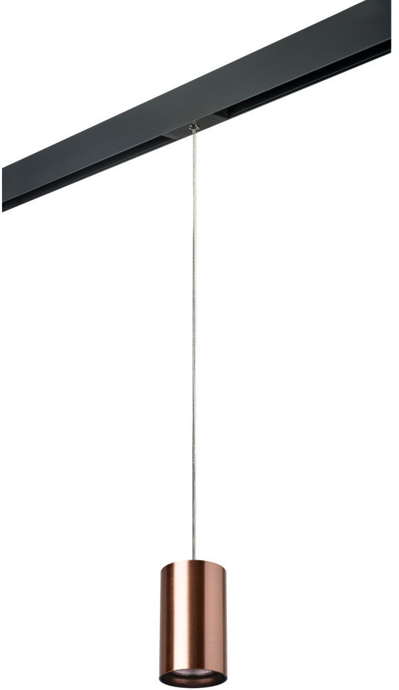 Трековый светильник однофазный 220V Lightstar Rullo PRORP430 (prorp430)