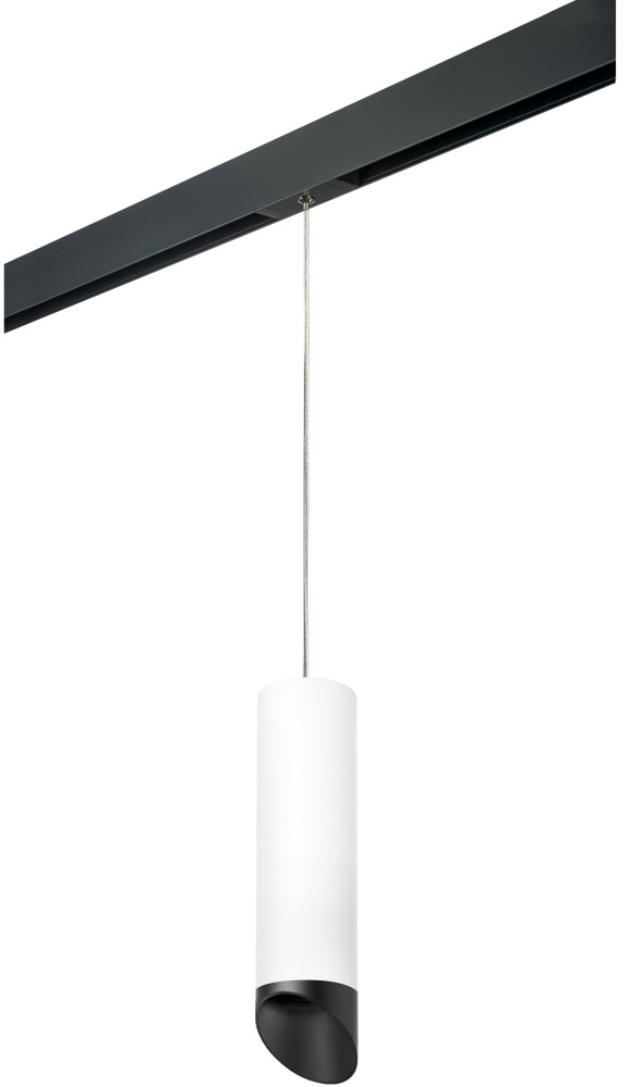 Трековый светильник однофазный 220V Lightstar Rullo PRORP649687 (prorp649687)