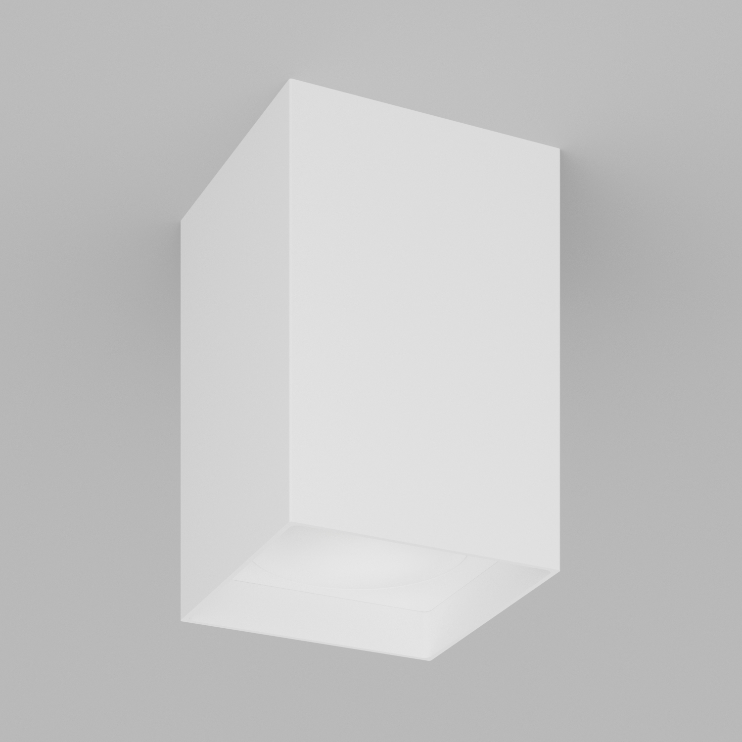 Накладной светильник под сменную лампу Ledron MJ1021GW White (2831)