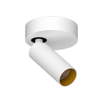 Накладной поворотный светодиодный светильник Ledron SAGITONY R1 S40 White-Gold (2489)