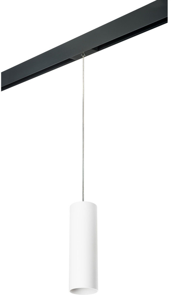 Трековый светильник однофазный 220V Lightstar Rullo PRORP6496 (prorp6496)