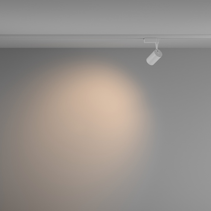 Трековый светильник Vuoro Unity 3000K 6Вт 60 LED однофазный Maytoni Technical TR003-1-6W3K-W-W (tr003-1-6w3k-w-w)