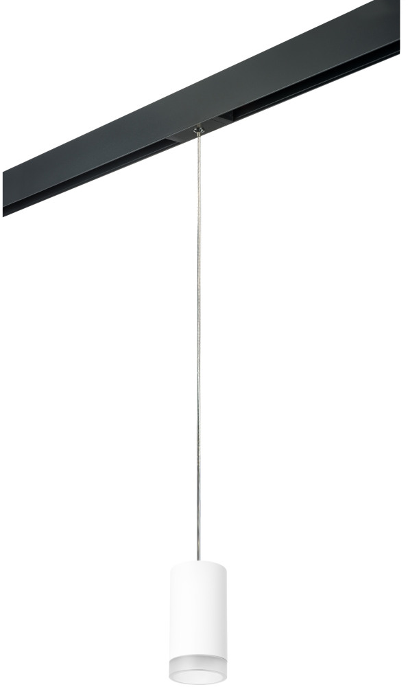 Трековый светильник однофазный 220V Lightstar Rullo PRORP43630 (prorp43630)