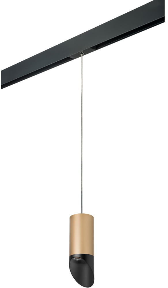 Трековый светильник однофазный 220V Lightstar Rullo PRORP44037 (prorp44037)