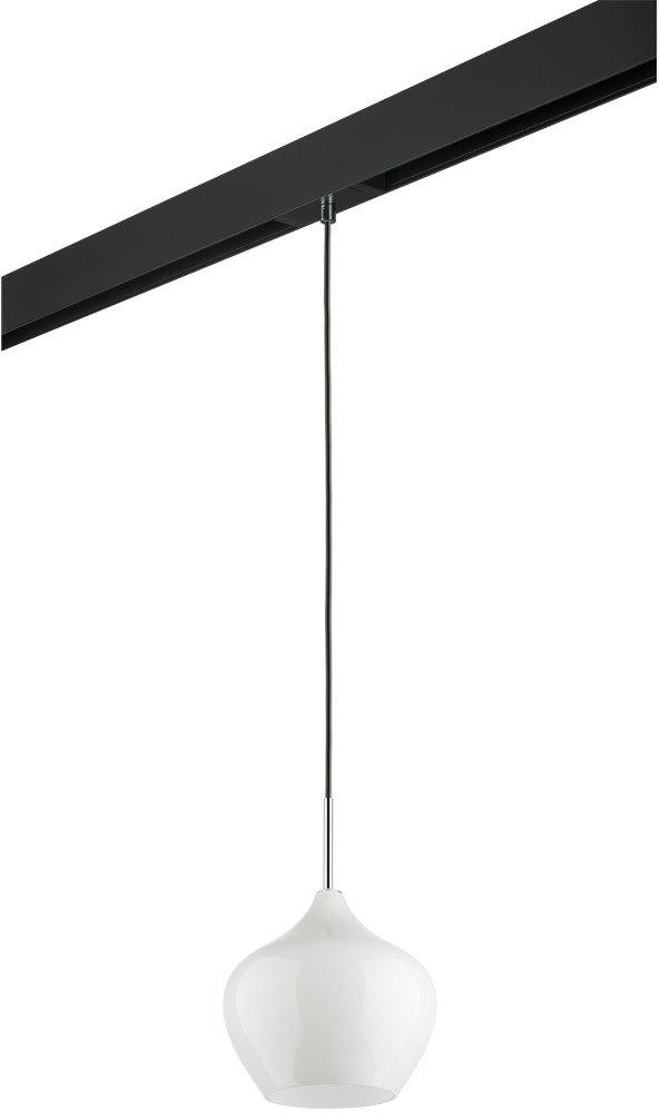 Трековый светильник однофазный 220V Lightstar Pentola PRO803040 (pro803040)