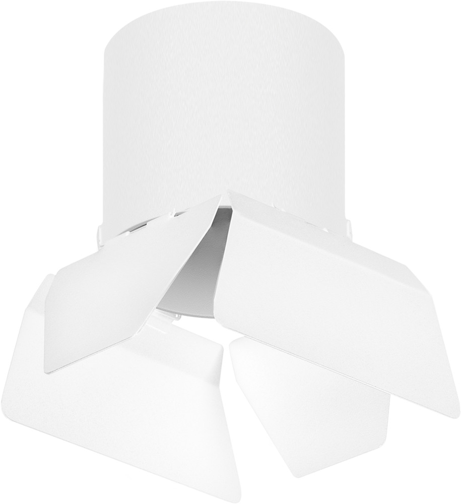 Светильник точечный накладной Lightstar Rullo R3486486 (r3486486)