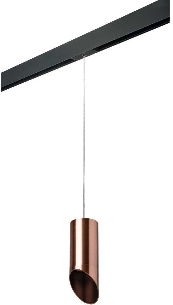 Трековый светильник однофазный 220V Lightstar Rullo PRORP43030 (prorp43030)