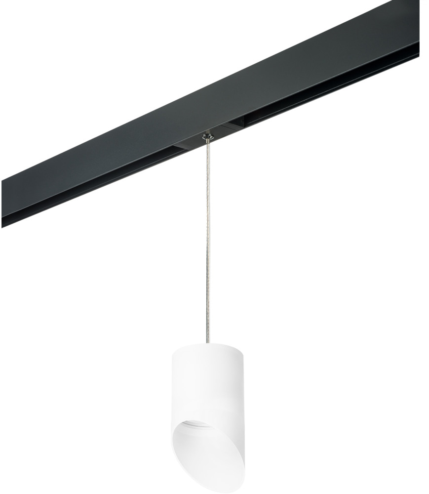 Трековый светильник однофазный 220V Lightstar Rullo PRORP348686 (prorp348686)