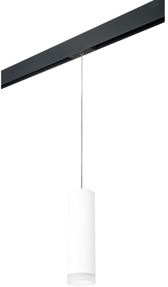 Трековый светильник однофазный 220V Lightstar Rullo PRORP649680 (prorp649680)