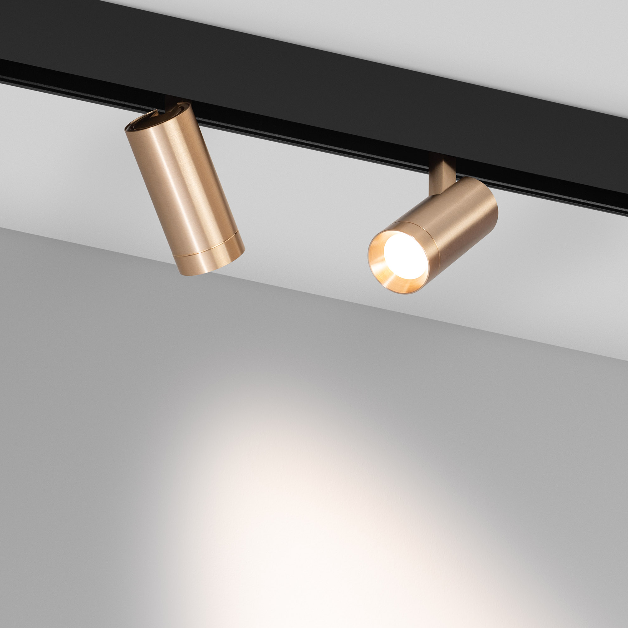 Светильник MAG-ORIENT-SPOT-R45-12W Day4000 (GD, 24 deg, 48V) (Arlight, IP20 Металл, 5 лет) 040889
