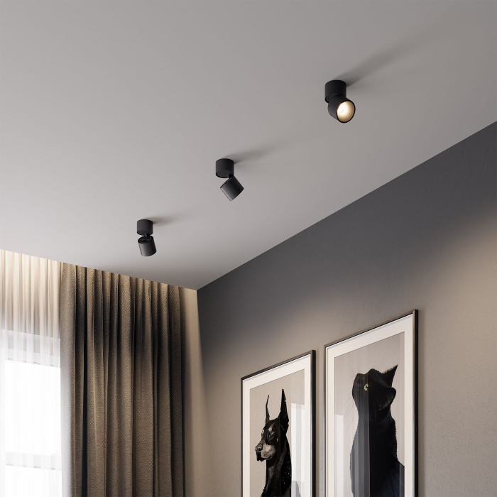 Светильник потолочный светодиодный Elektrostandard Rolly 25112LED черный (a067488)