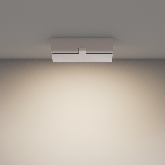 Потолочный светильник Maytoni Basis Rot C133CL-12W4K-W (c133cl-12w4k-w)