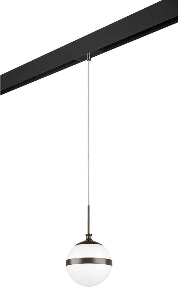 Трековый светильник однофазный 220V Lightstar Globo PRO813117 (pro813117)