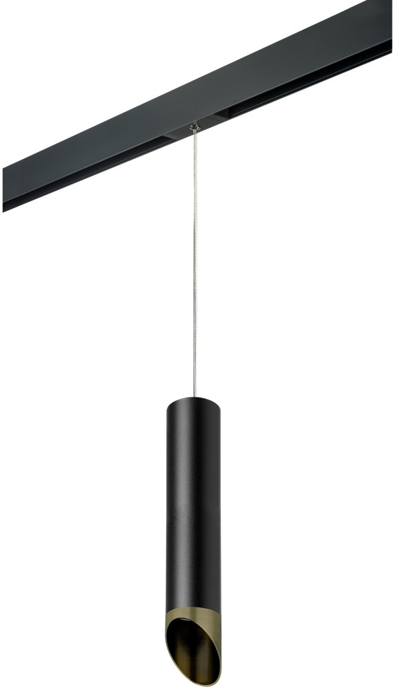 Трековый светильник однофазный 220V Lightstar Rullo PRORP497131 (prorp497131)