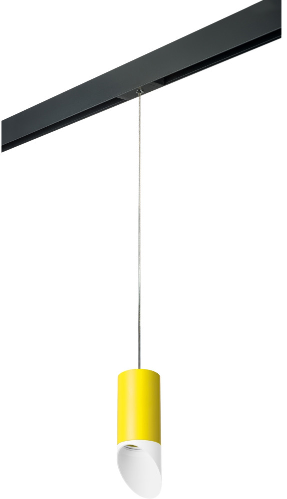 Трековый светильник однофазный 220V Lightstar Rullo PRORP43336 (prorp43336)