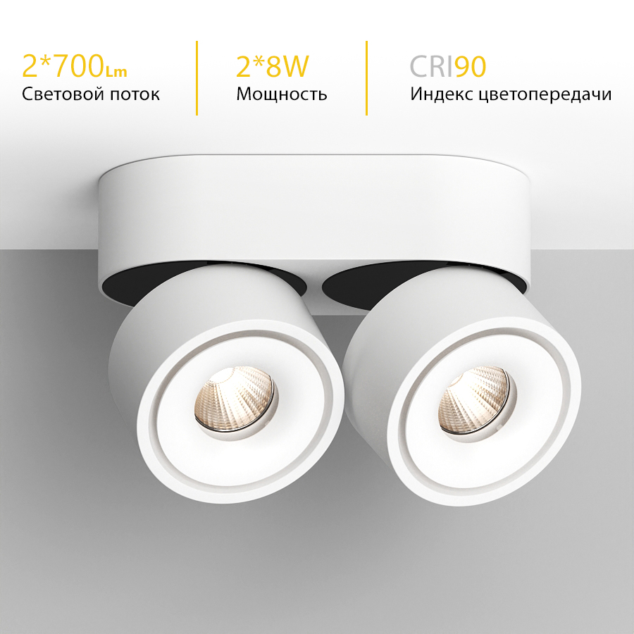 Накладной поворотный светодиодный светильник Ledron LH8W 2 White 4000K (11092)