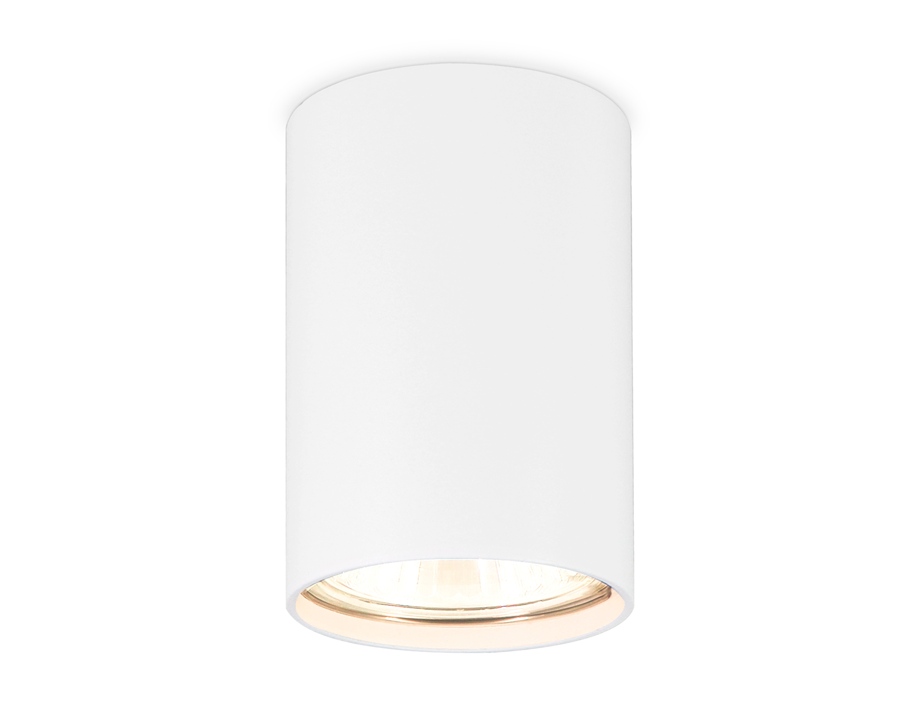 Накладной точечный светильник GU5.3 TN213108 WH белый GU5.3 D55*100