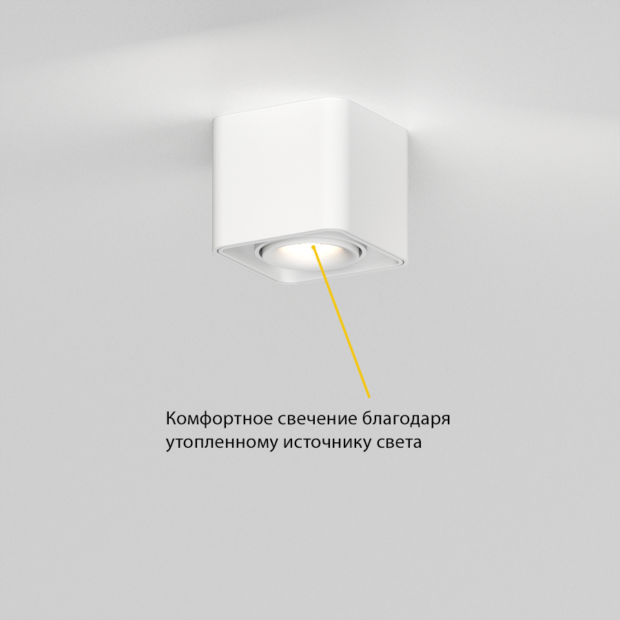 Накладной поворотный светодиодный светильник Ledron TUBING White (2665)