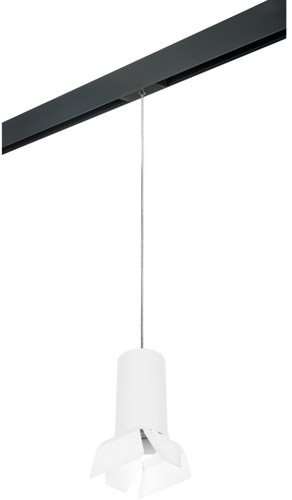 Трековый светильник однофазный 220V Lightstar Rullo PRORP6486486 (prorp6486486)