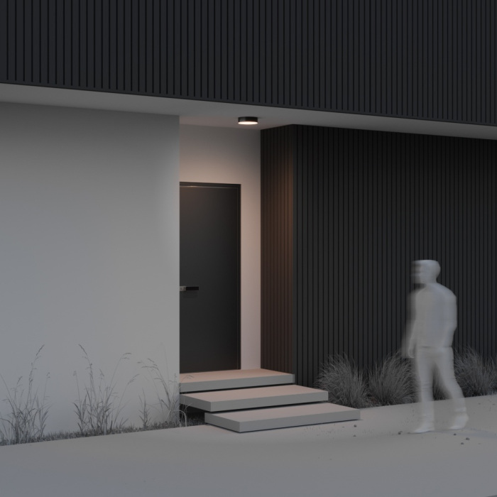 Потолочный светильник уличный Maytoni Zon IP O431CL-L30B3K (o431cl-l30b3k)