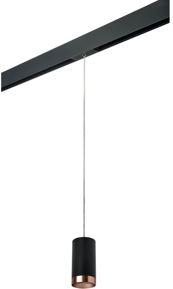 Трековый светильник однофазный 220V Lightstar Rullo PRORP437430 (prorp437430)