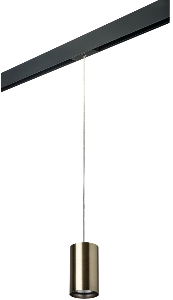 Трековый светильник однофазный 220V Lightstar Rullo PRORP431 (prorp431)