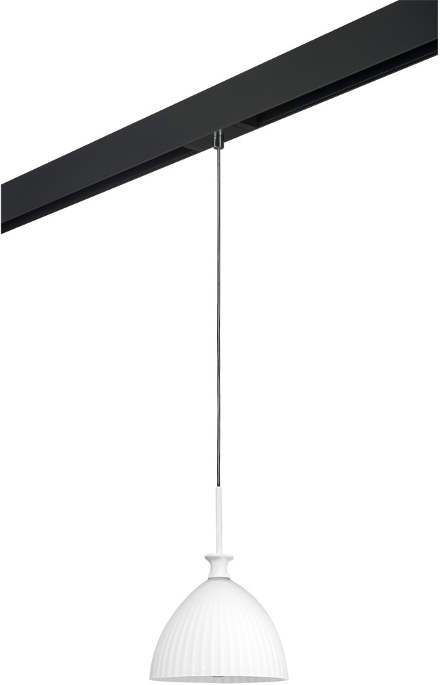 Трековый светильник однофазный 220V Lightstar Agola PRO810020 (pro810020)