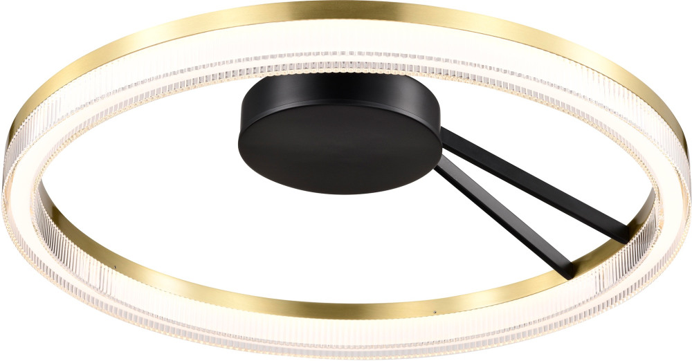 Потолочный светильник светодиодный Lightstar Rotonda 736040 (736040)