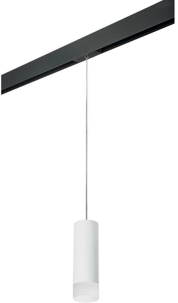 Трековый светильник однофазный 220V Lightstar Rullo PRORP48631 (prorp48631)