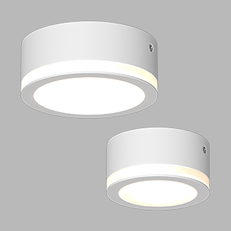 Накладной светодиодный светильник Ledron SDL10-R100-4200K White (2739)