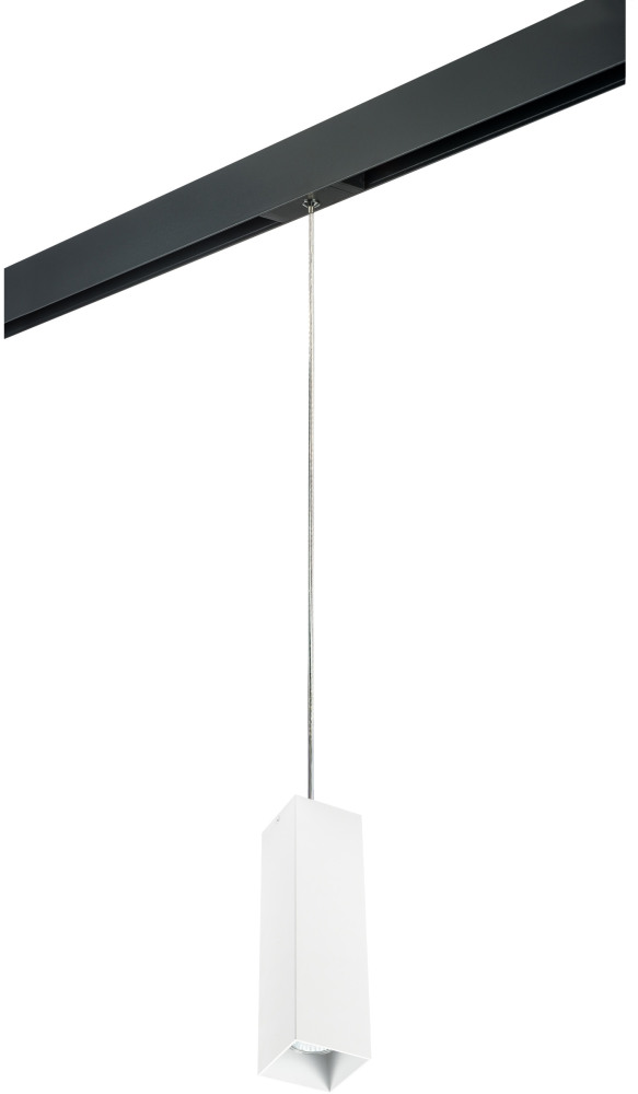 Трековый светильник однофазный 220V Lightstar Rullo PRORP6596 (prorp6596)