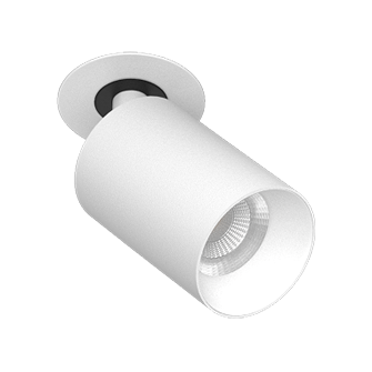 Встраиваемый поворотный светодиодный светильник Ledron SAGITONY R BASIC S60 White (2038)