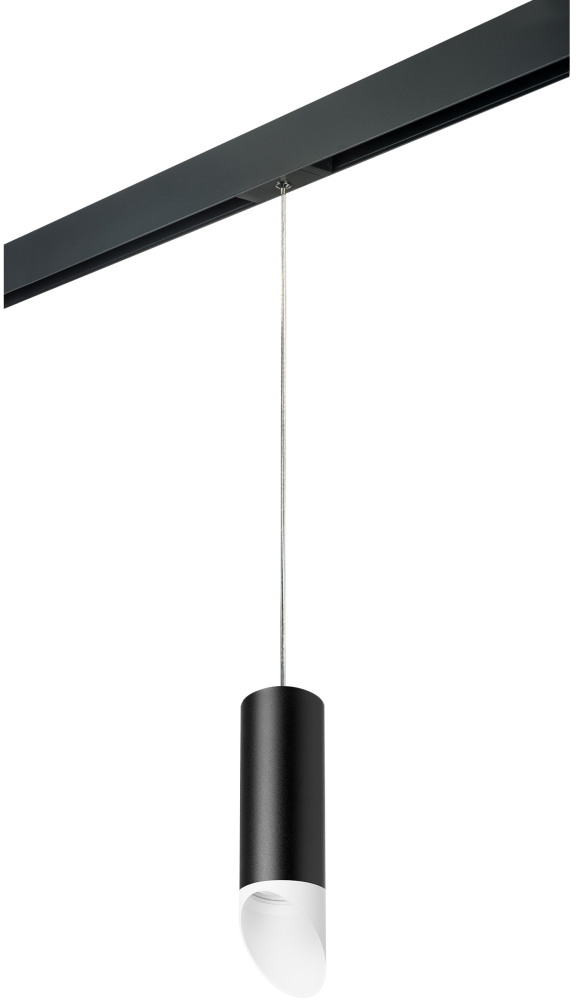 Трековый светильник однофазный 220V Lightstar Rullo PRORP48736 (prorp48736)