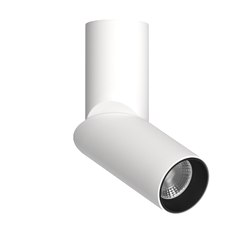 Накладной поворотный светильник под сменную лампу Ledron MJ1402 White-Black (2842)