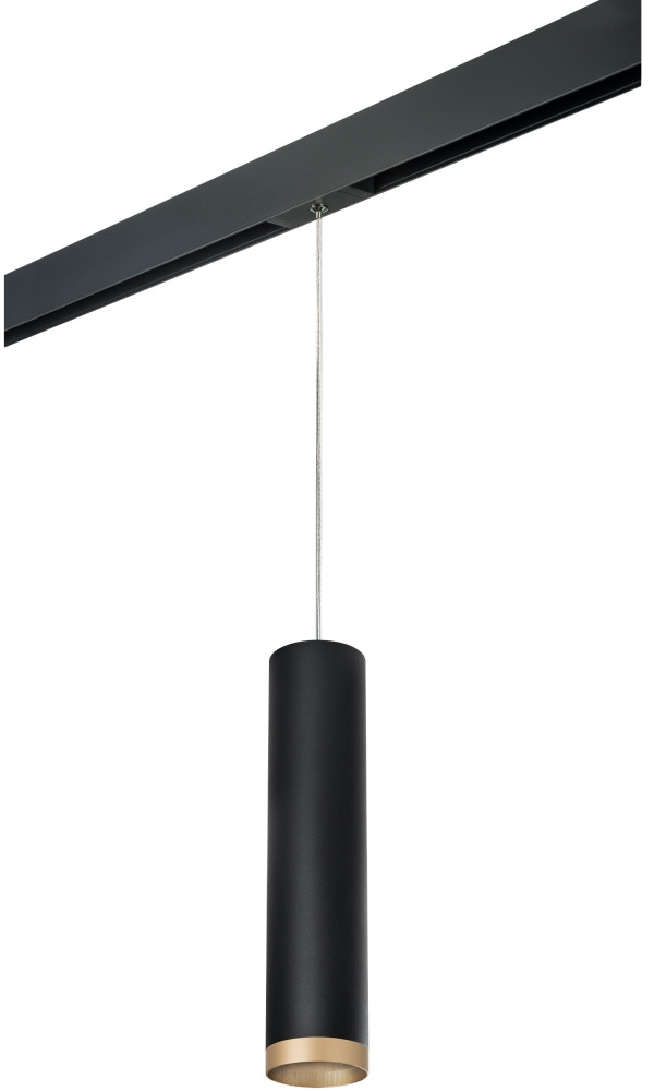 Трековый светильник однофазный 220V Lightstar Rullo PRORP49740 (prorp49740)