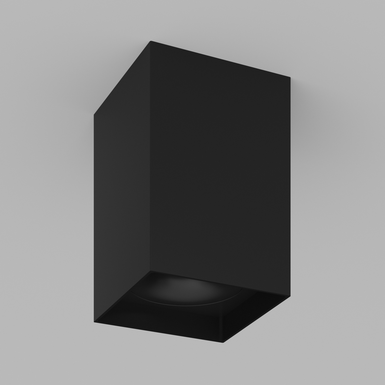 Накладной светильник под сменную лампу Ledron MJ1021GW Black (2832)