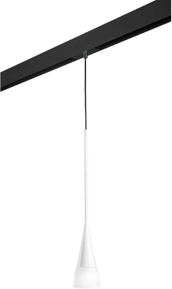 Трековый светильник однофазный 220V Lightstar Conicita PRO804110 (pro804110)