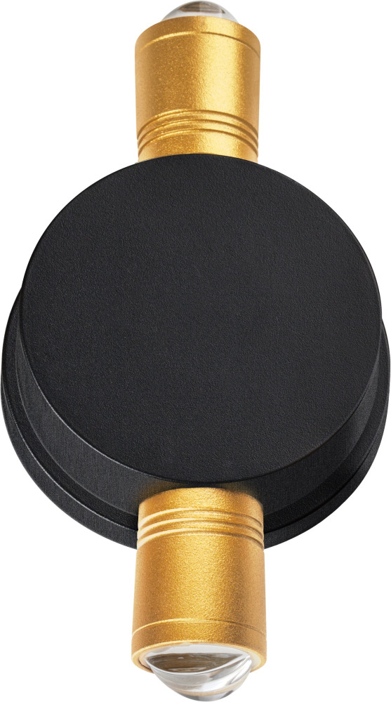 Уличный настенный светодиодный светильник Lightstar Dito 380623 (380623)