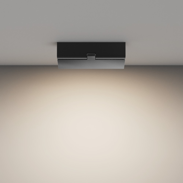 Потолочный светильник Maytoni Basis Rot C133CL-12W4K-B (c133cl-12w4k-b)