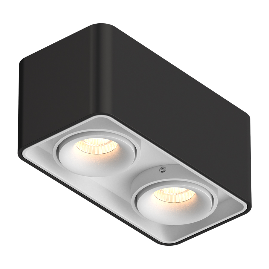 Накладной поворотный светодиодный светильник Ledron TUBING 2 Black-White (2671)