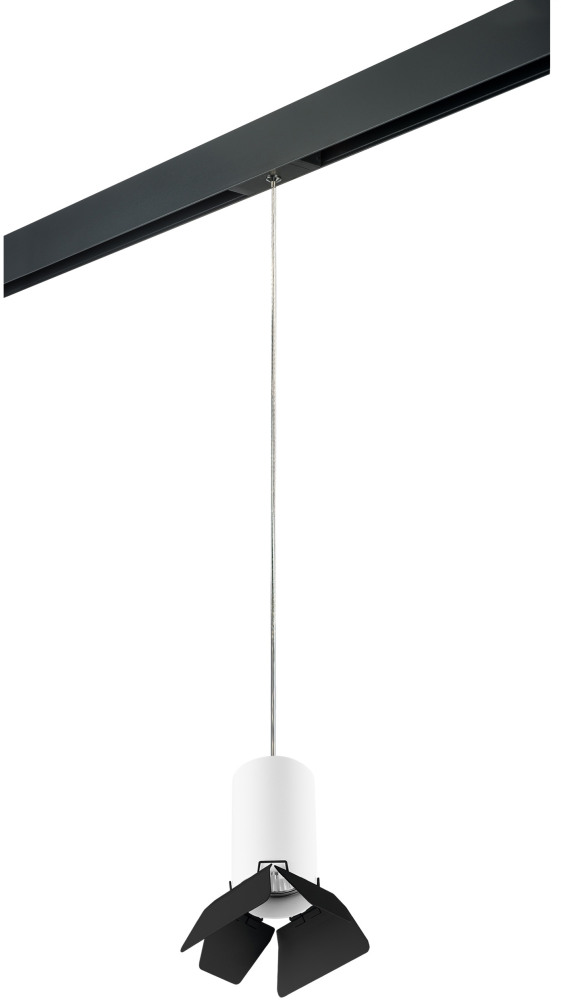 Трековый светильник однофазный 220V Lightstar Rullo PRORP436437 (prorp436437)