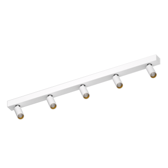 Накладной поворотный светодиодный светильник Ledron SAGITONY E5 S40 White-Gold Dim 4000K (11150)