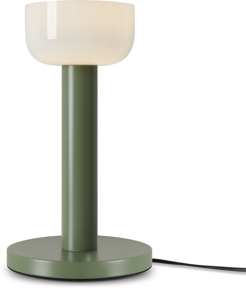 Настольная лампа Freya Barries FR6185TL-L5GN (fr6185tl-l5gn)