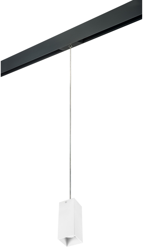 Трековый светильник однофазный 220V Lightstar Rullo PRORP386 (prorp386)