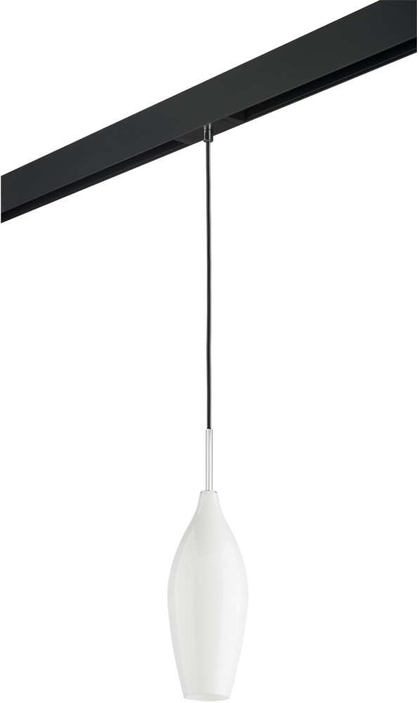 Трековый светильник однофазный 220V Lightstar Pentola PRO803020 (pro803020)