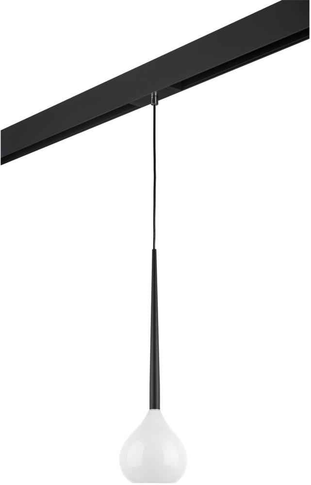 Трековый светильник однофазный 220V Lightstar Forma PRO808110 (pro808110)