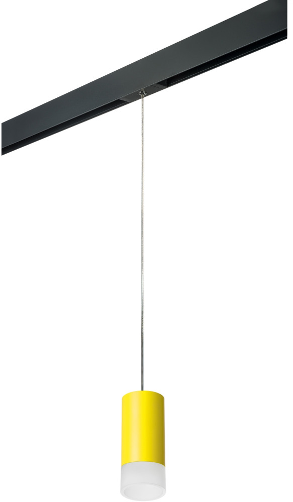 Трековый светильник однофазный 220V Lightstar Rullo PRORP43331 (prorp43331)