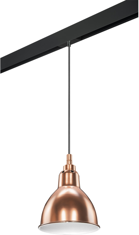 Трековый светильник однофазный 220V Lightstar Loft PRO765013 (pro765013)