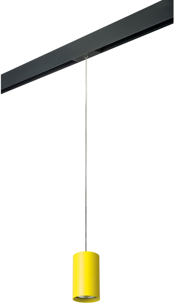 Трековый светильник однофазный 220V Lightstar Rullo PRORP433 (prorp433)