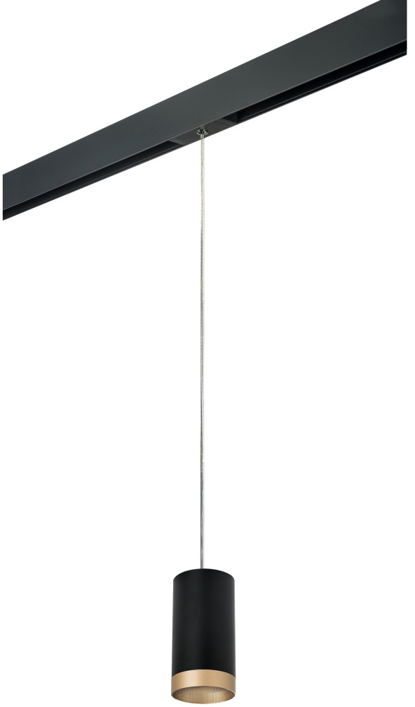 Трековый светильник однофазный 220V Lightstar Rullo PRORP43740 (prorp43740)